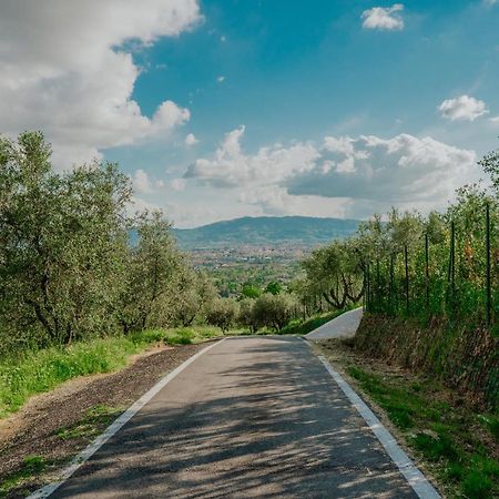 L'Otello B&B Pistoia Eksteriør billede