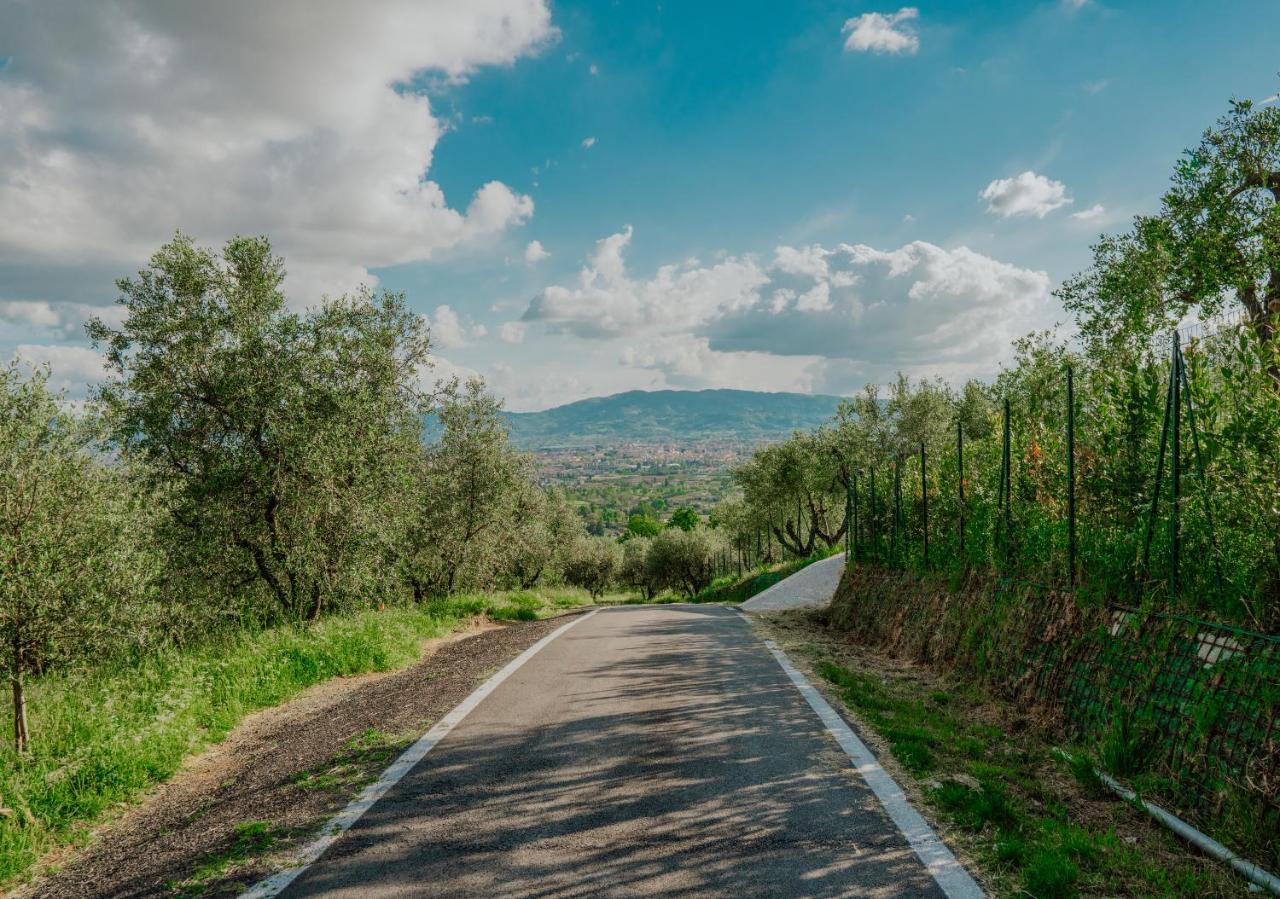 L'Otello B&B Pistoia Eksteriør billede
