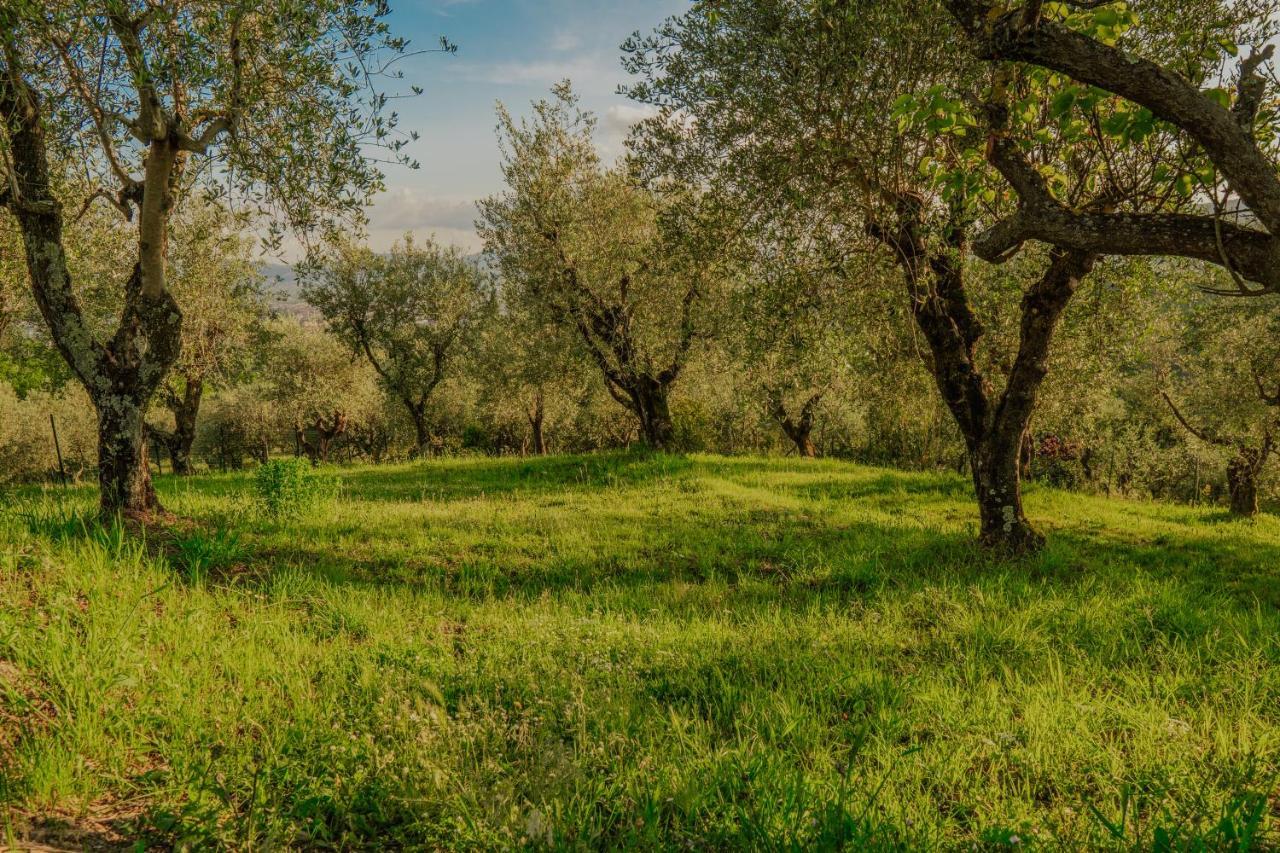 L'Otello B&B Pistoia Eksteriør billede