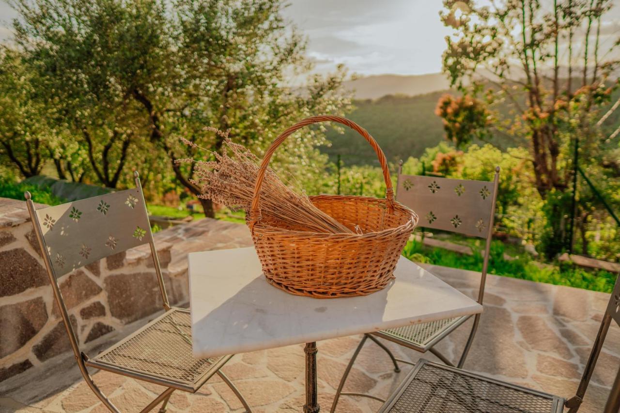 L'Otello B&B Pistoia Eksteriør billede
